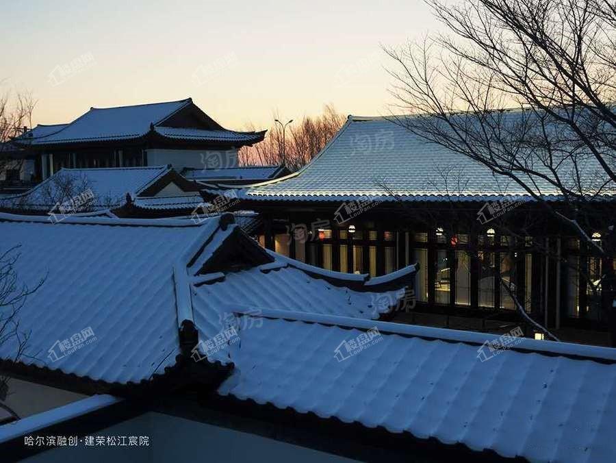 融创建荣·松江宸院实景图