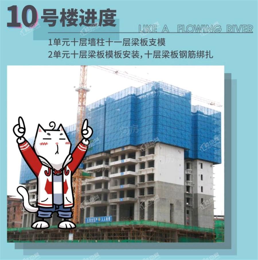 凯旋1号上水湾实景图