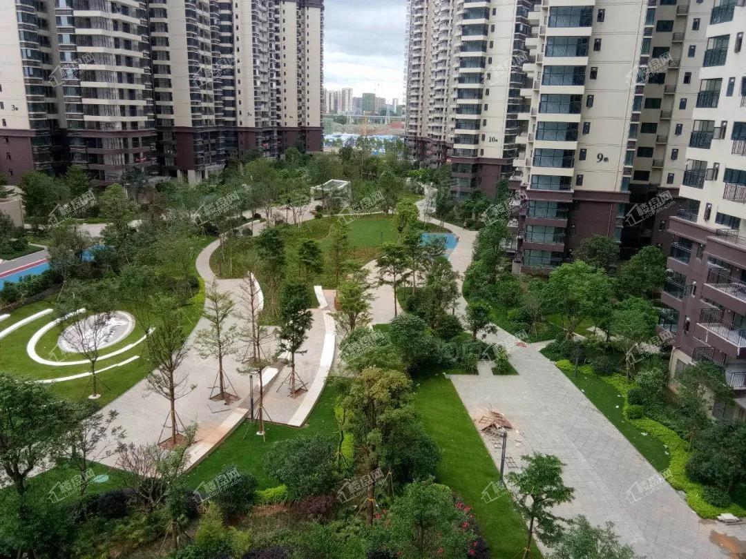 保利领秀前城实景图