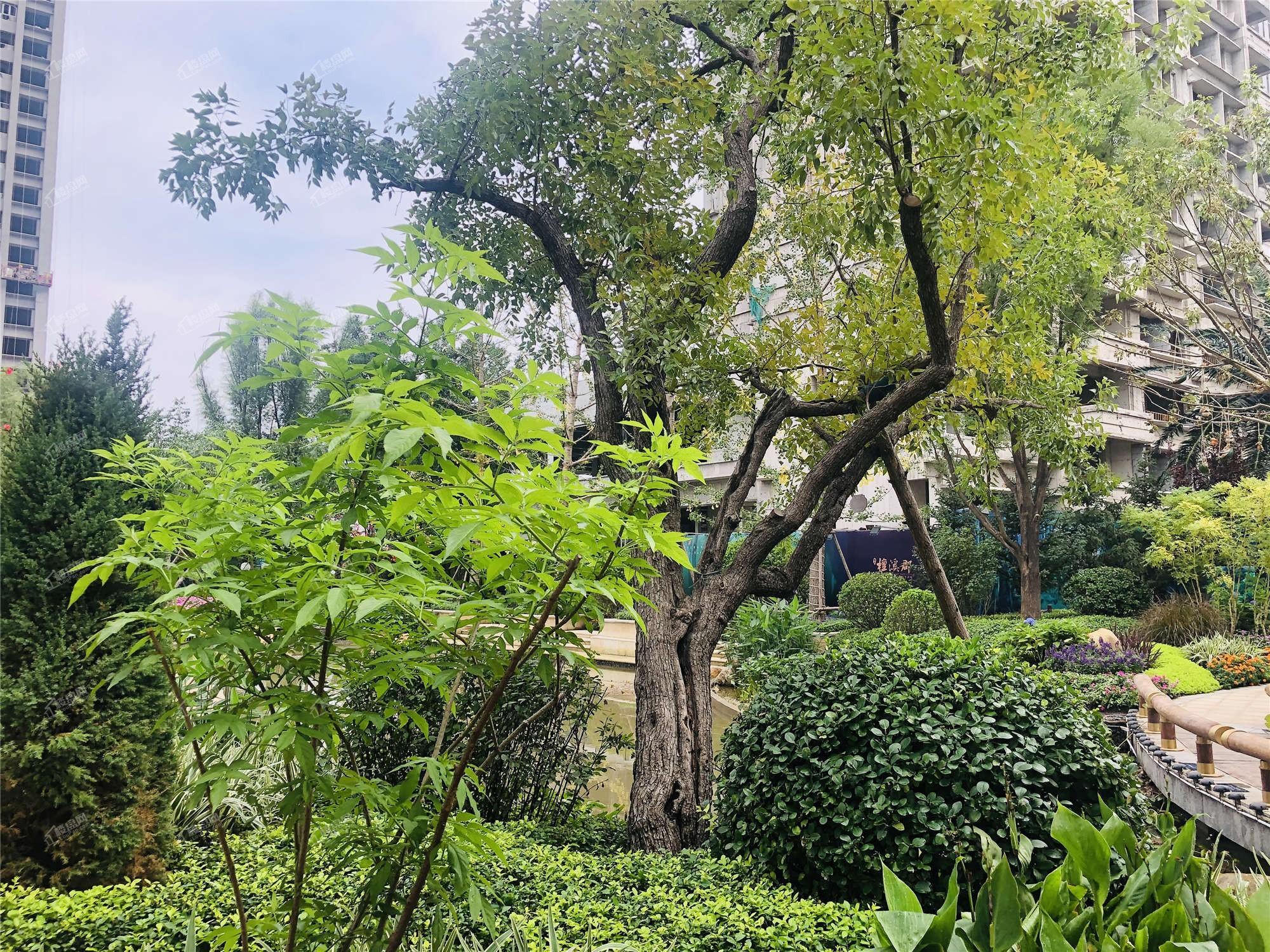 恒大檀溪郡实景图