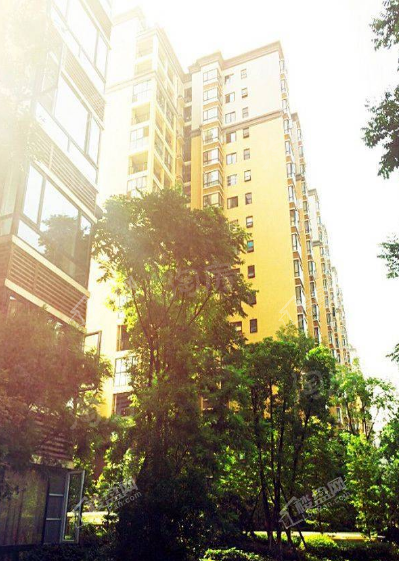 炎华置信上林西江实景图