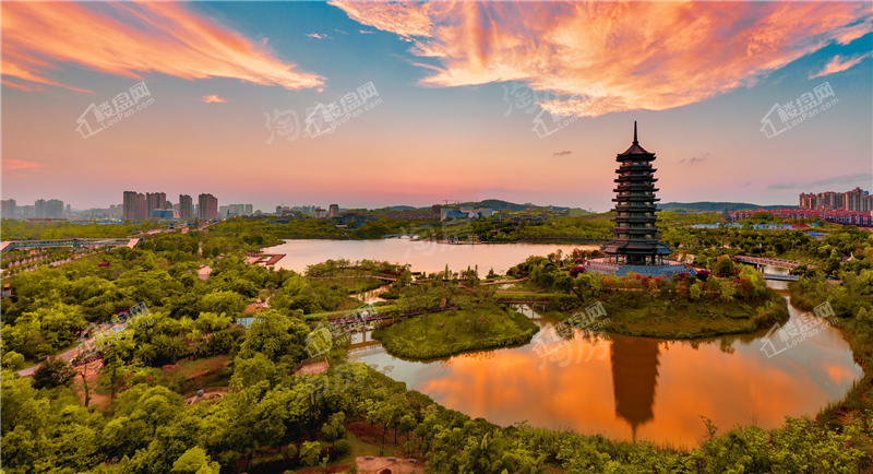 龙光天宸配套图