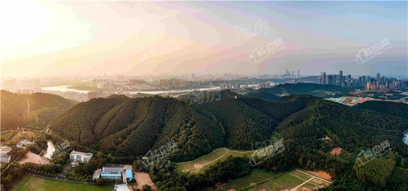 龙光天宸配套图