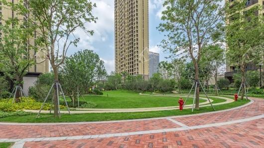 华润中央公园实景图