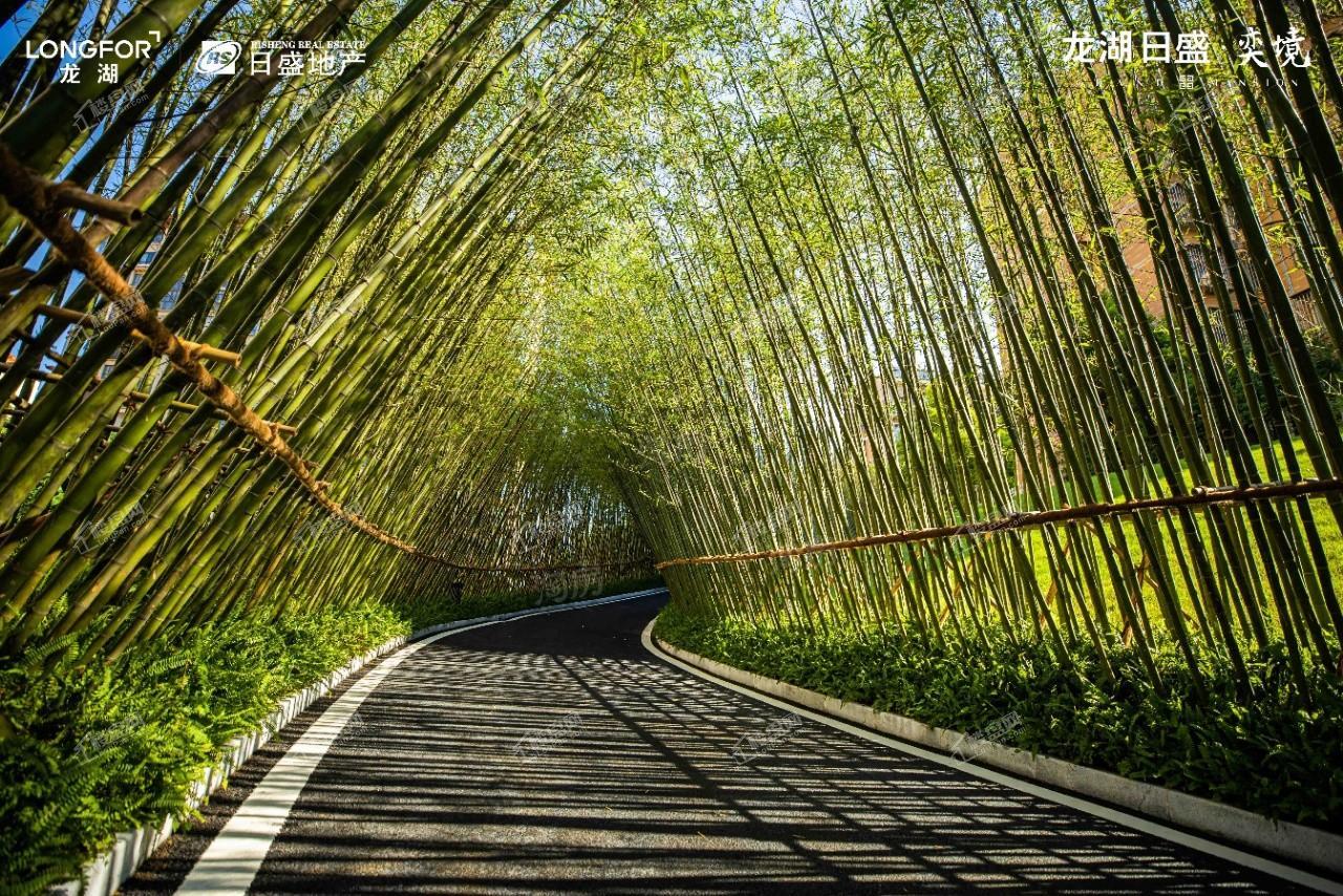 龙湖日盛奕境效果图