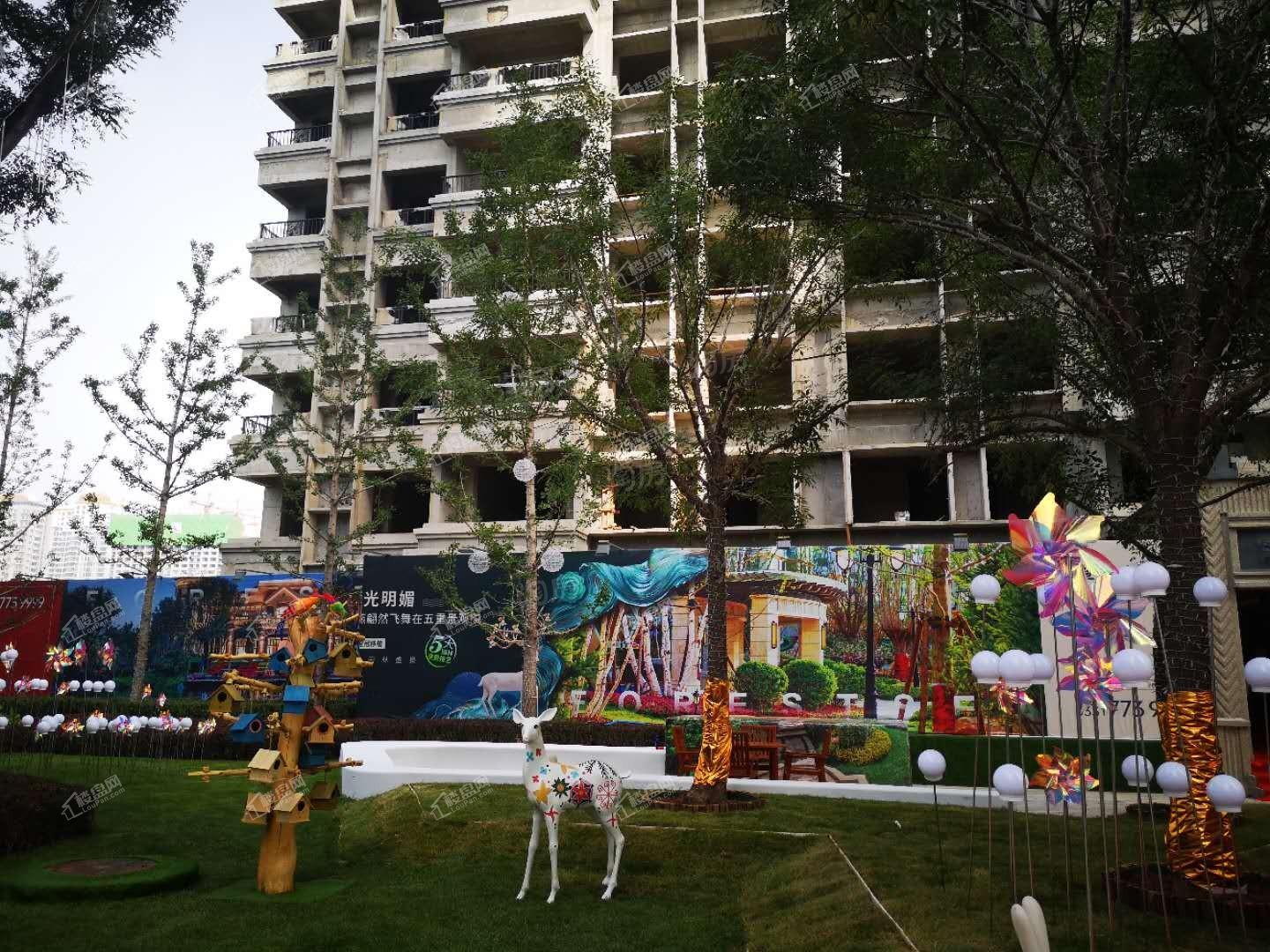 恒大森林海实景图