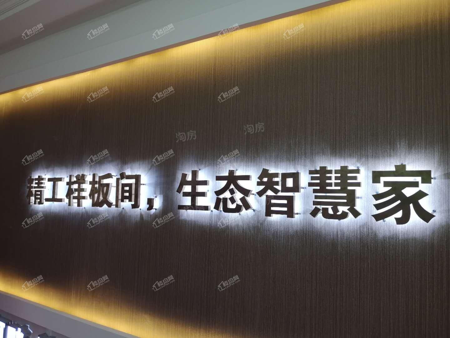 恒大森林海实景图