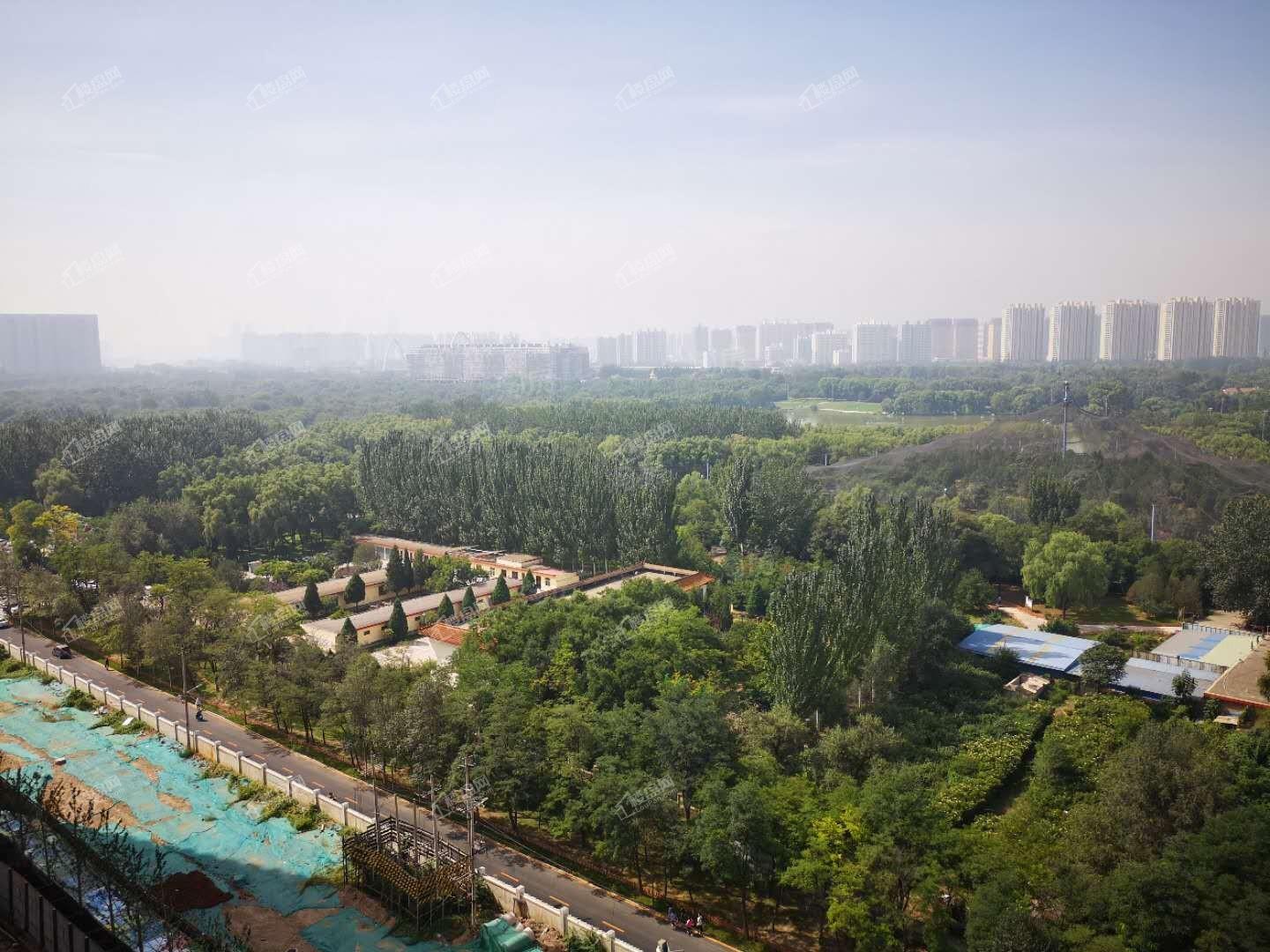 恒大森林海实景图