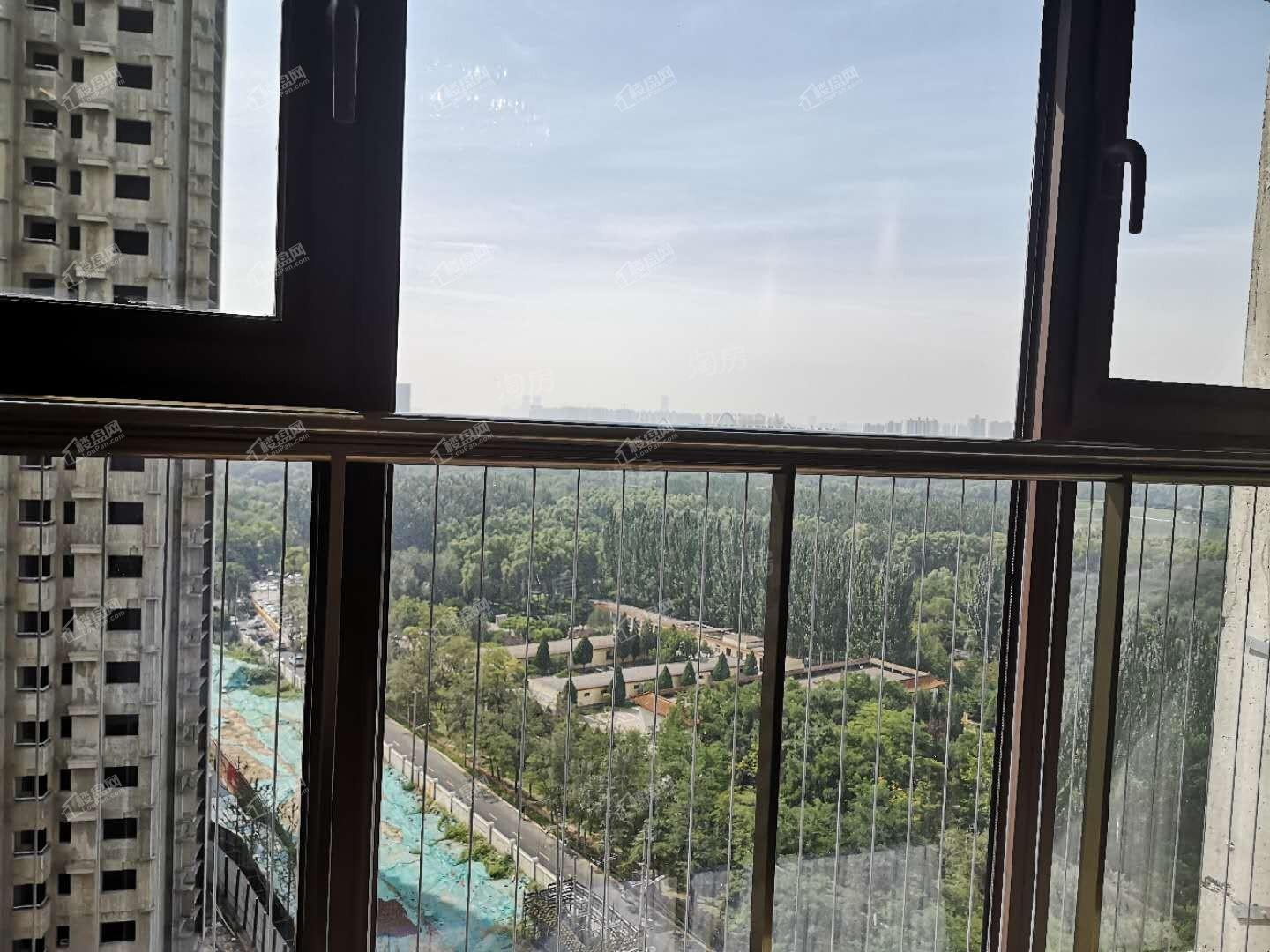 恒大森林海实景图