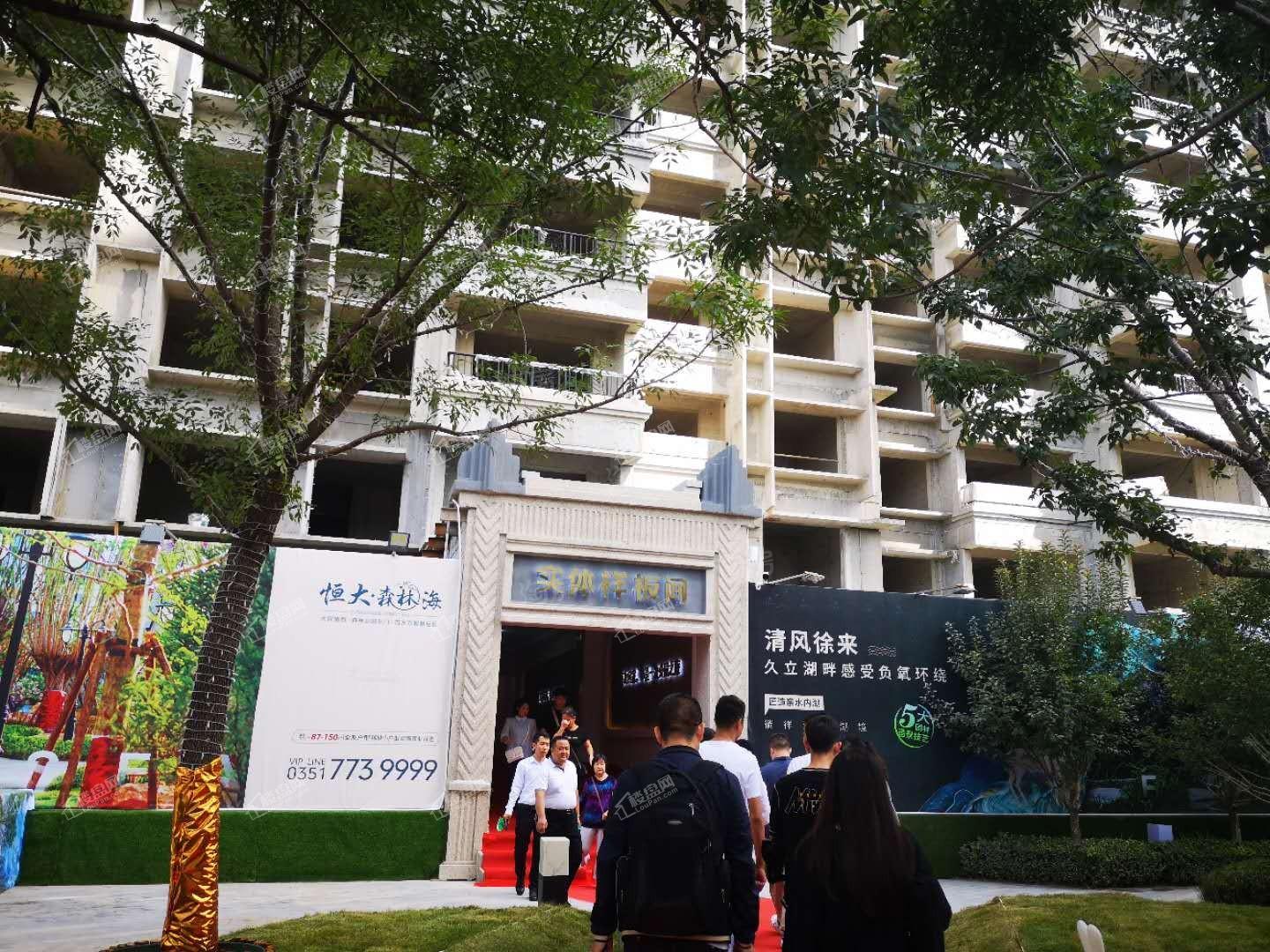 恒大森林海实景图