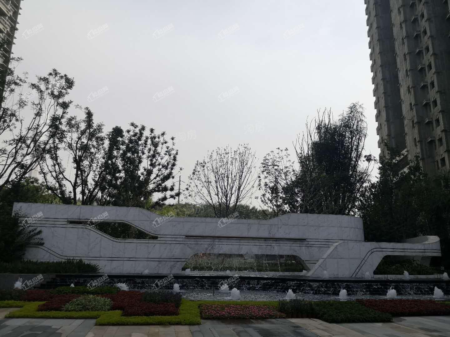 恒大森林海实景图