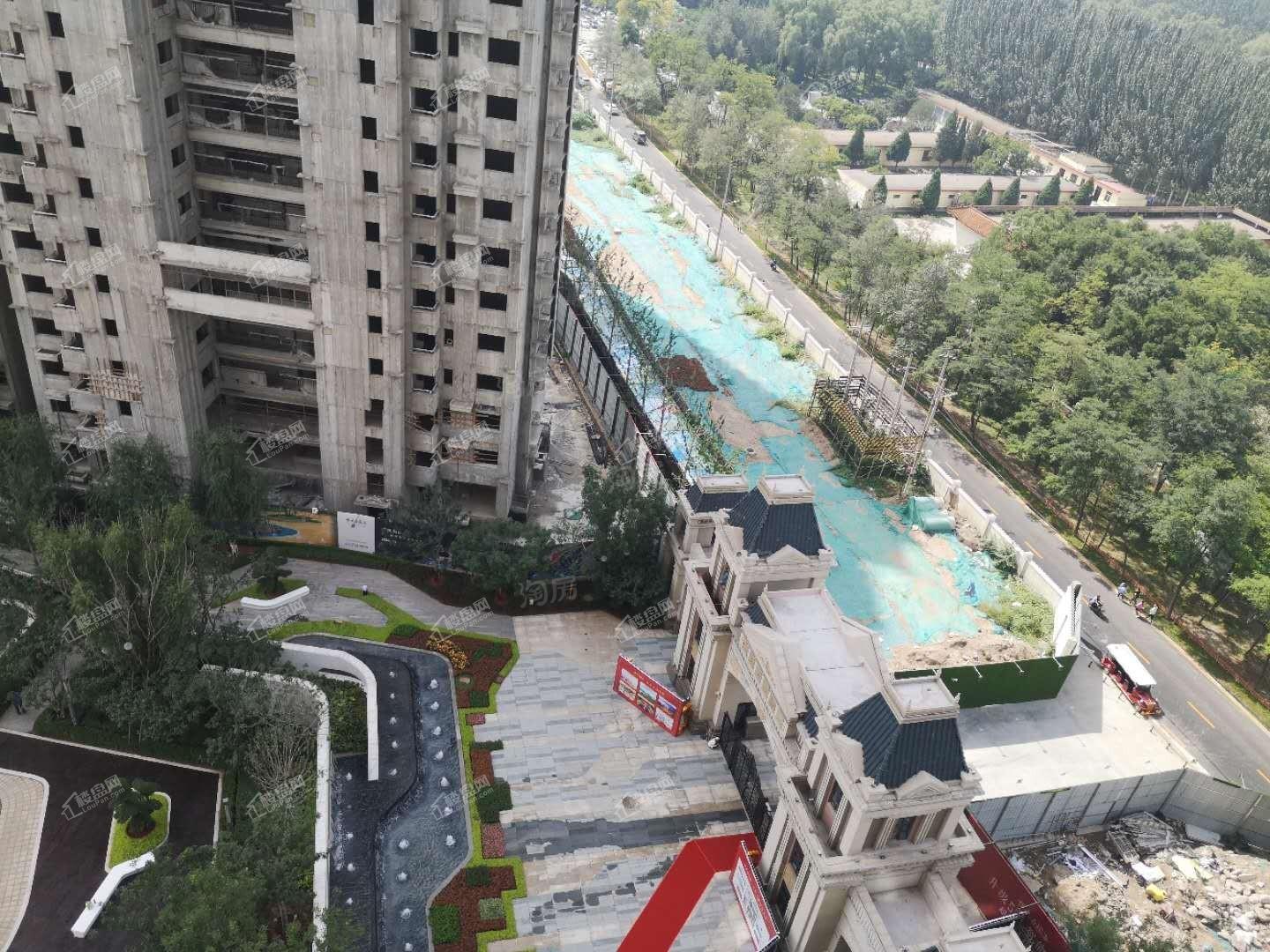 恒大森林海实景图