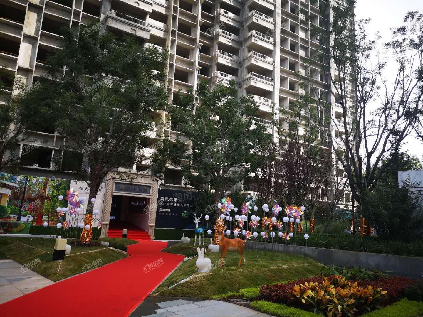 恒大森林海实景图