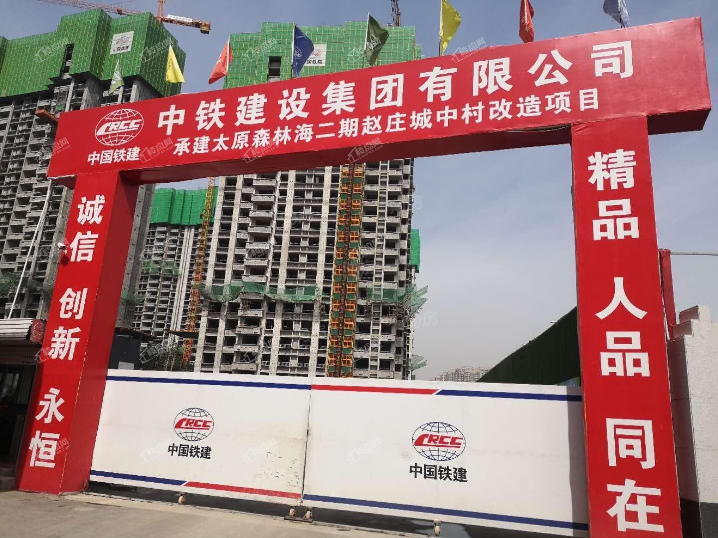 恒大森林海实景图