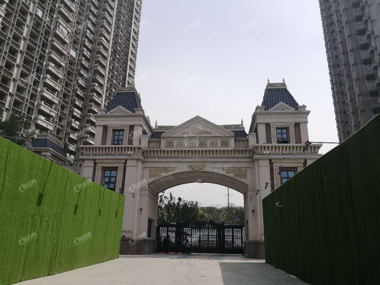 恒大森林海实景图