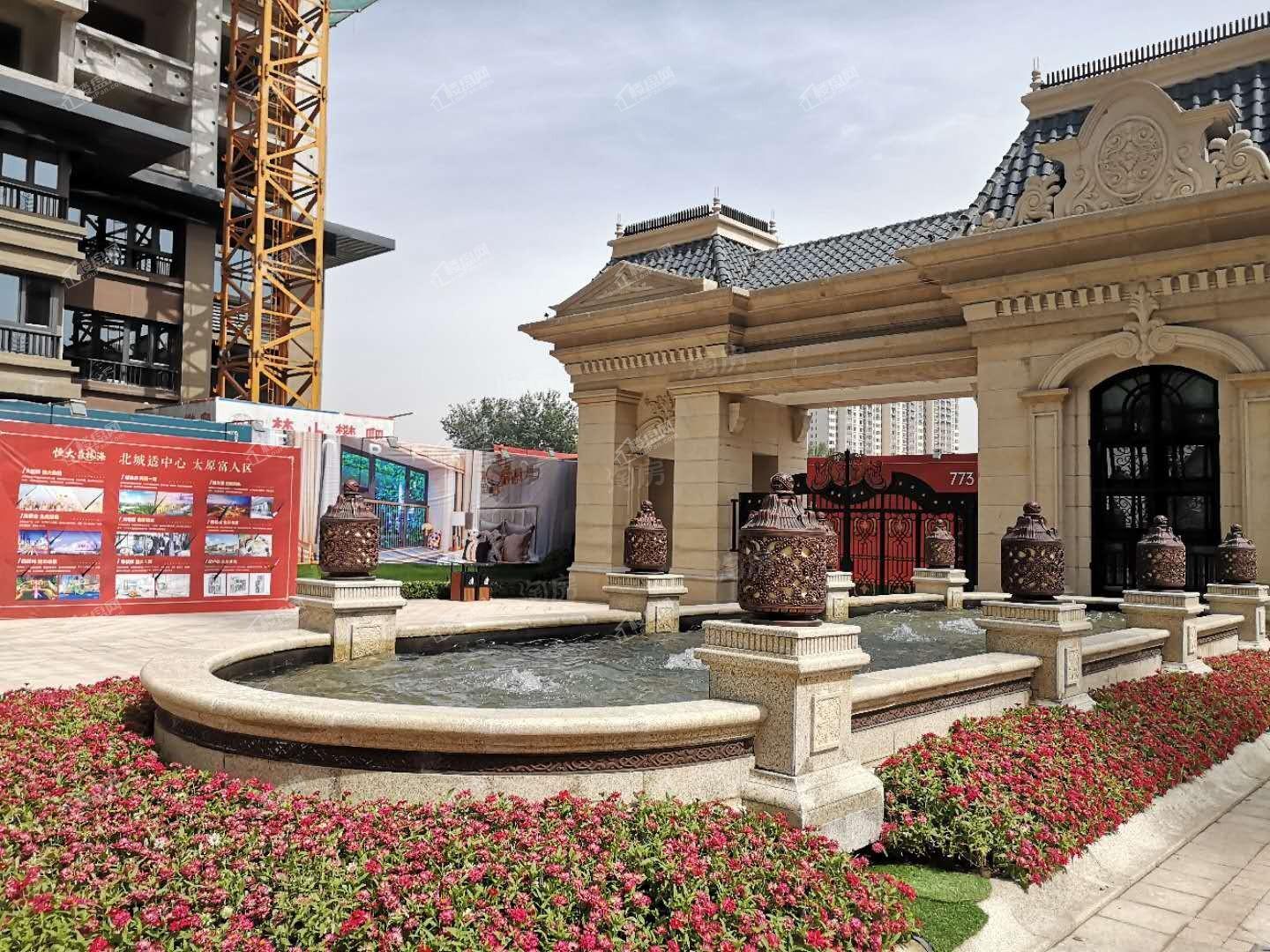 恒大森林海实景图