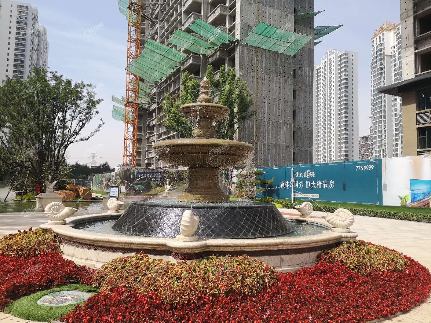 恒大森林海实景图