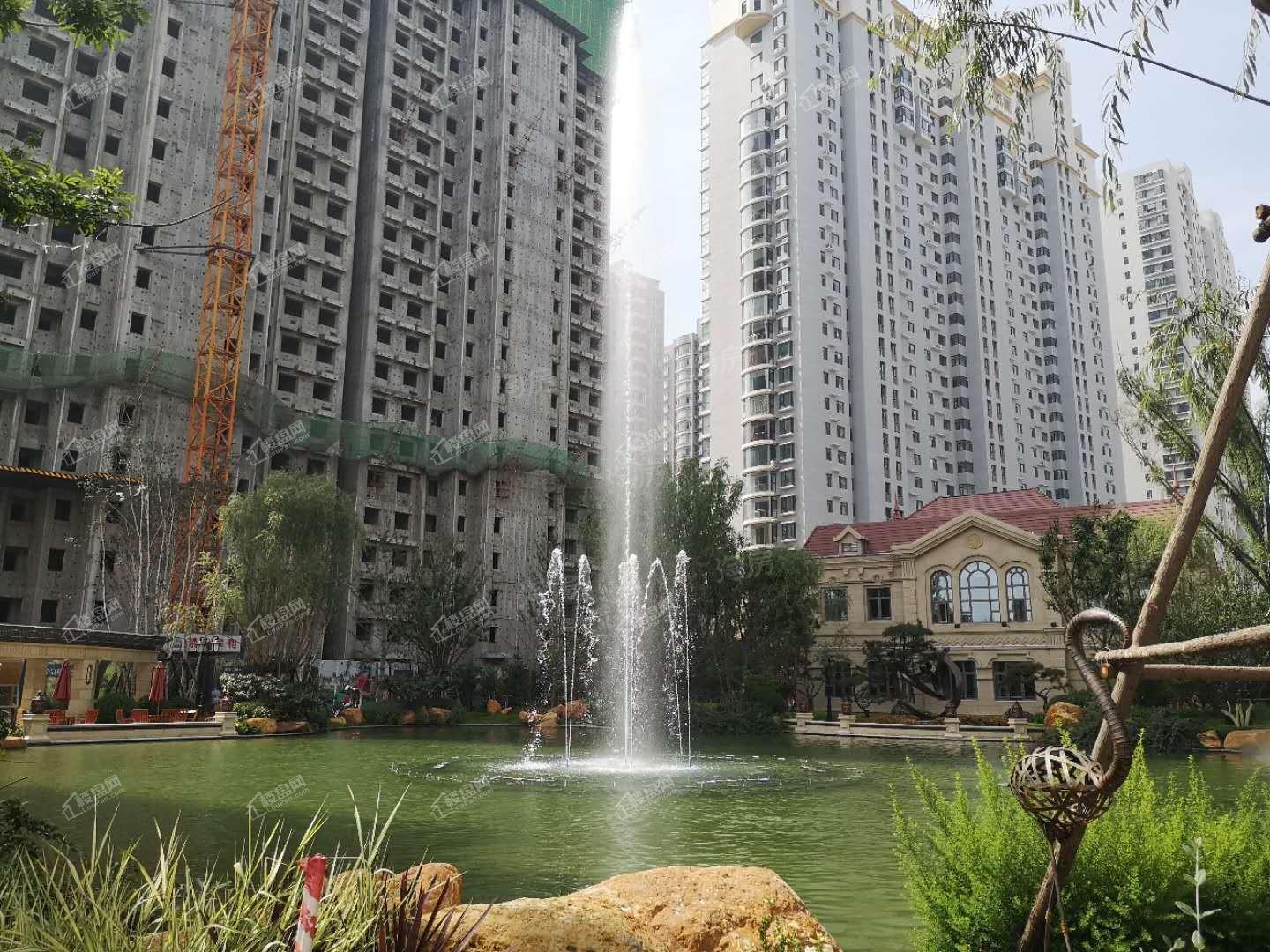 恒大森林海实景图