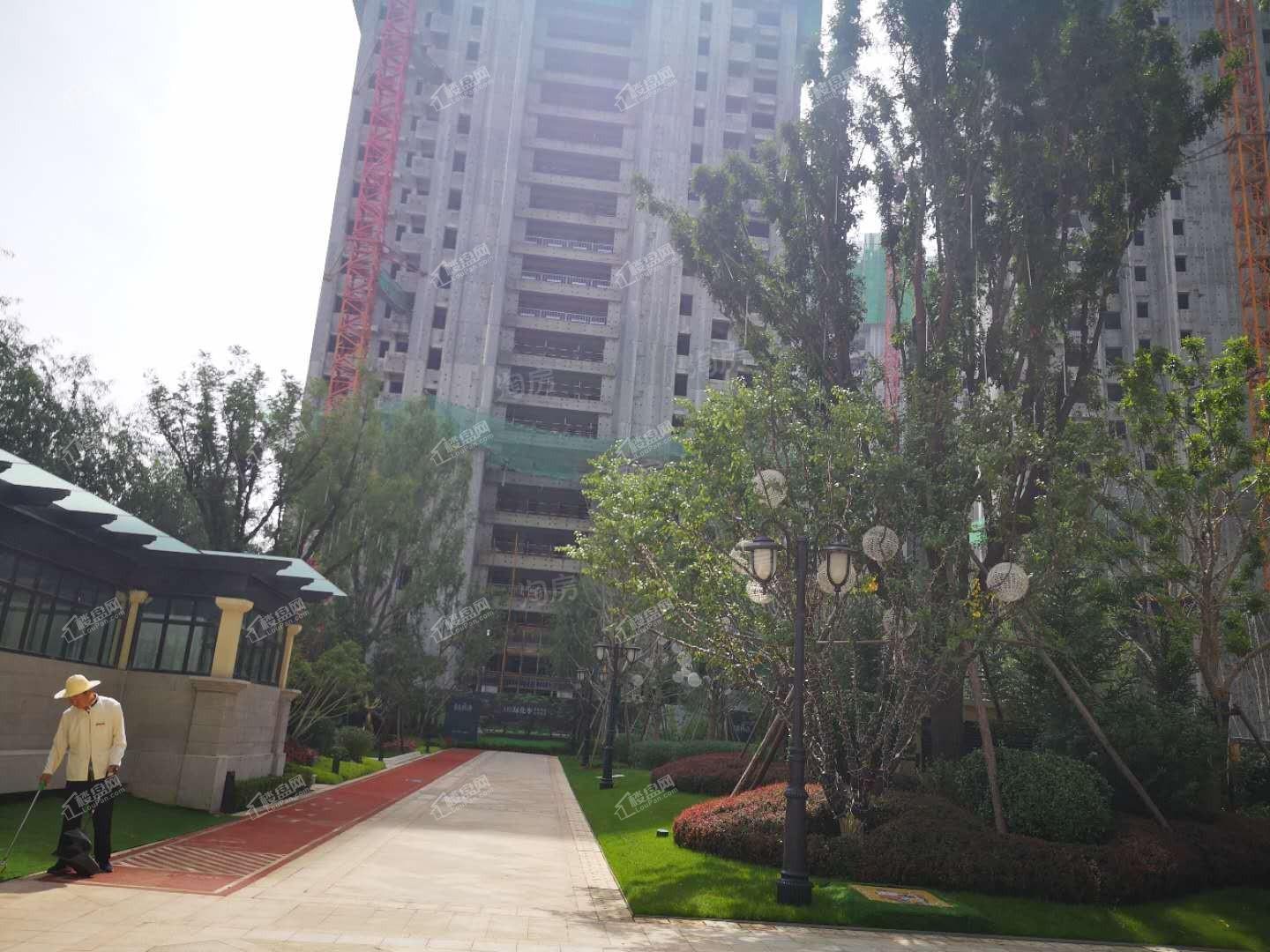 恒大森林海实景图