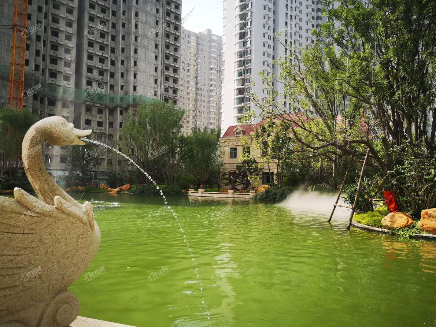 恒大森林海实景图