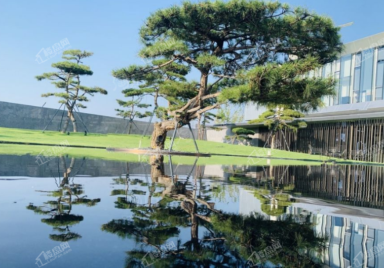实景图