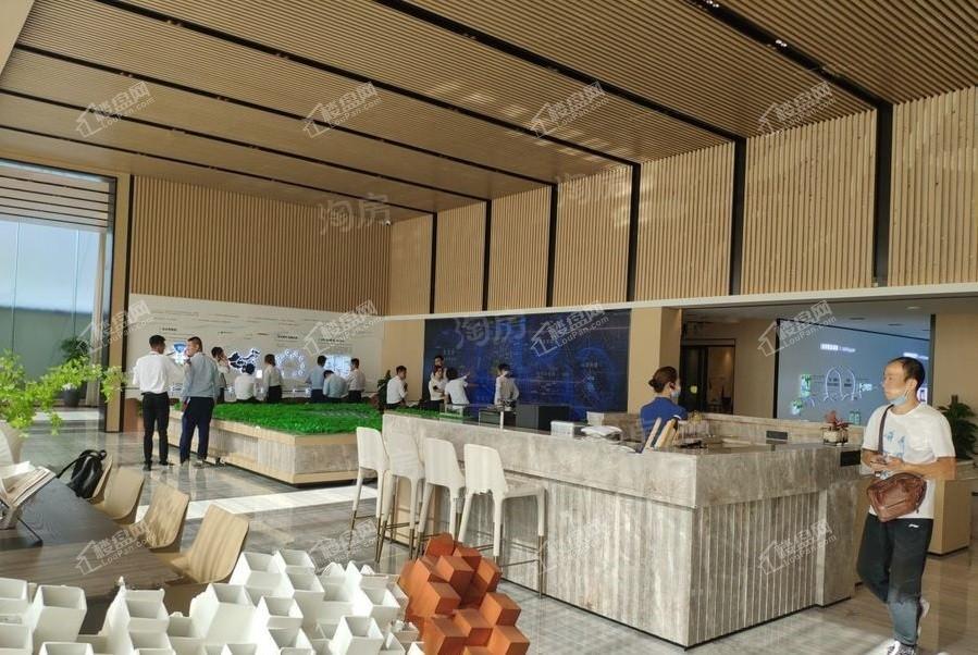 保利·悦公馆实景图