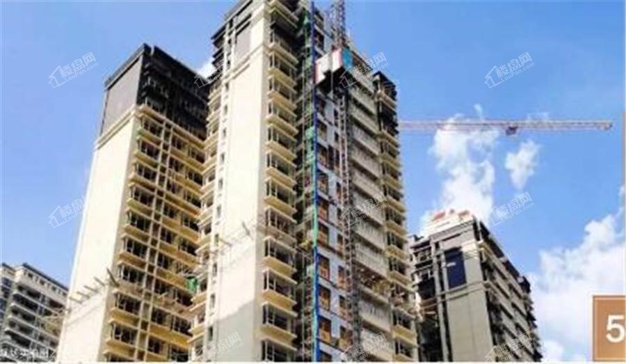 盛湖悦景实景图