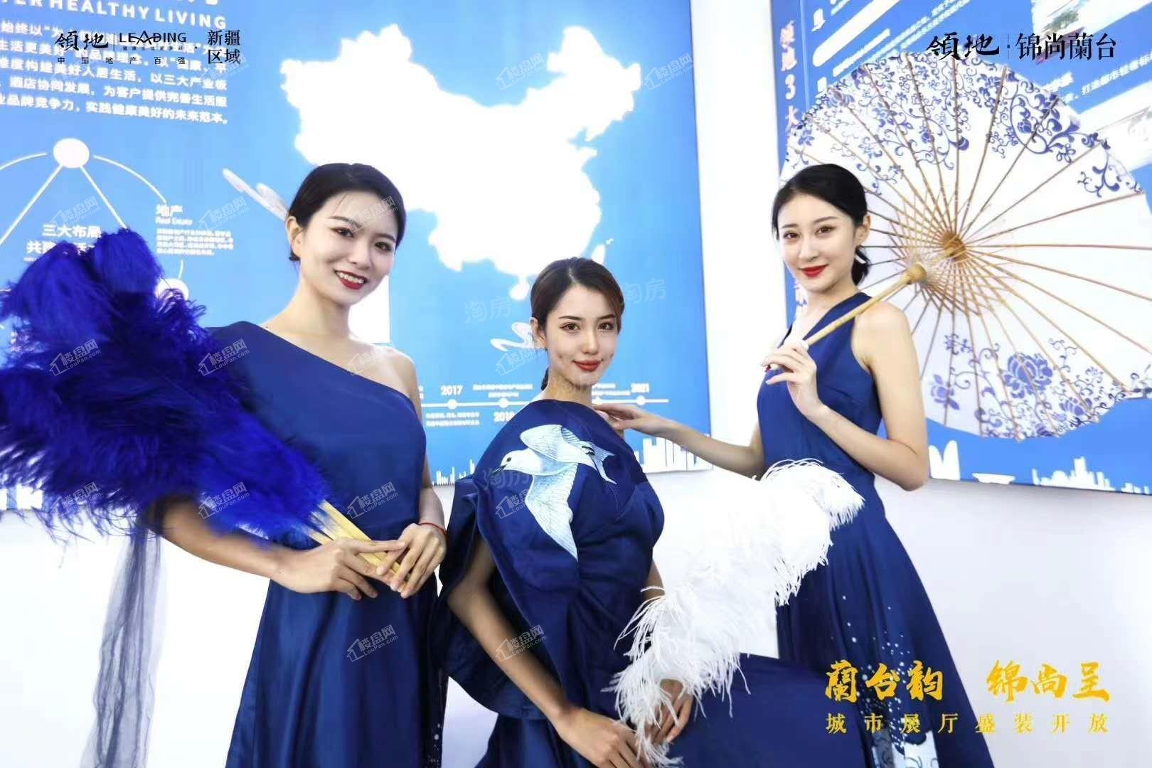 领地锦尚蘭台实景图