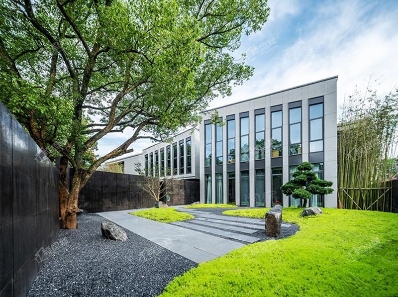 新旅明樾堂实景图