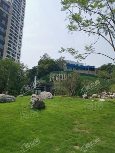 悦麓山实景图