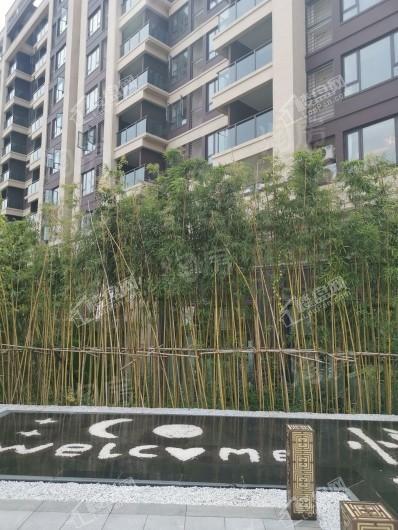 悦麓山实景图