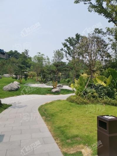 悦麓山实景图