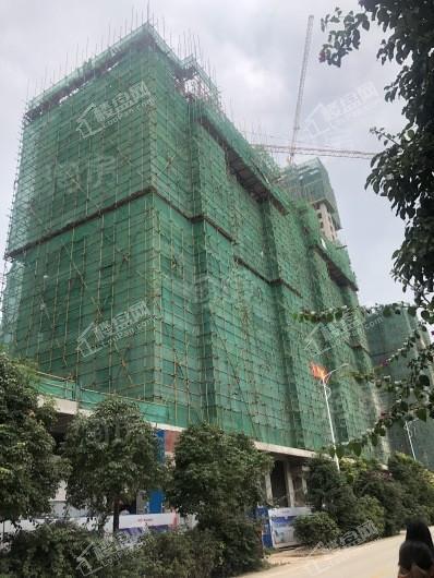 凯旋怡景实景图