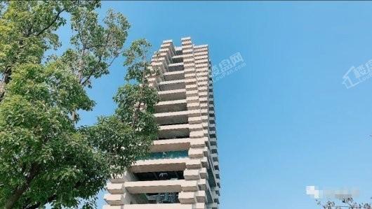 宝科鱼乐公园实景图