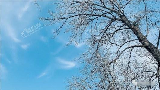 宝科鱼乐公园实景图