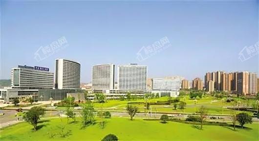 实景图