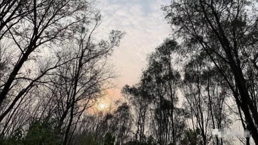 宝科鱼乐公园实景图