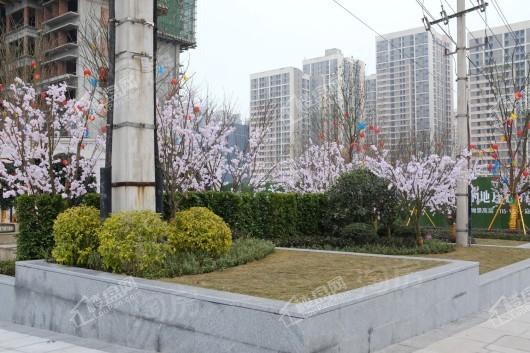 西海岸凯悦实景图