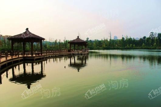 泽科御峰配套图