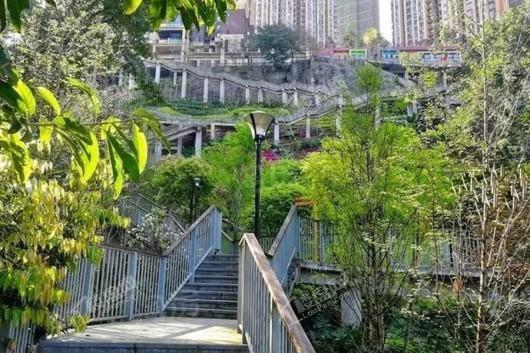 和泓渝中界实景图
