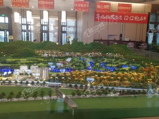远洋公园原香实景图