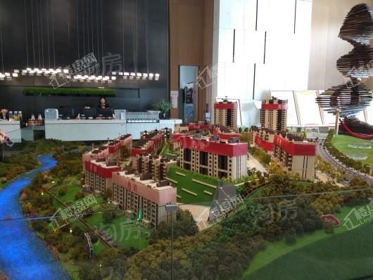 远洋合能枫丹江屿实景图