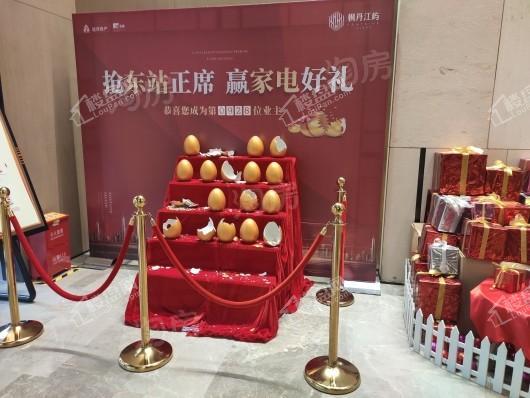 远洋合能枫丹江屿实景图