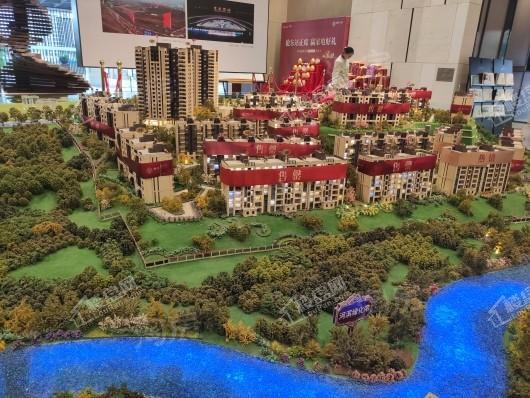 远洋合能枫丹江屿实景图