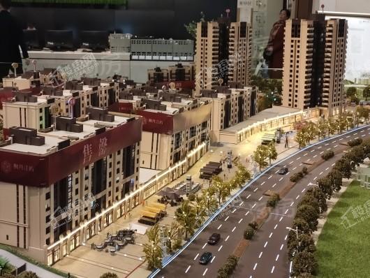 远洋合能枫丹江屿实景图