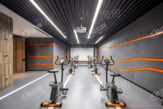 橙珲·随园实景图