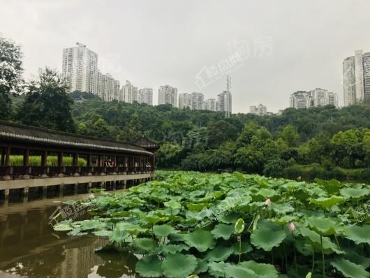 中海天钻配套图