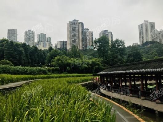 中海天钻配套图