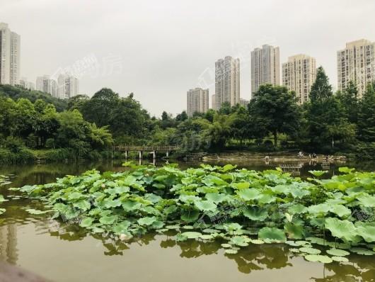中海天钻配套图