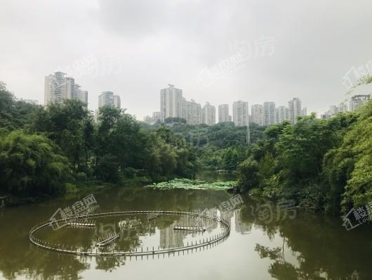 中海天钻配套图